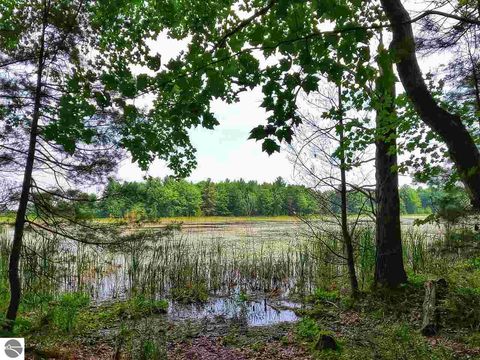 Tiny photo for 864 SE Blue Heron Drive, Kalkaska, MI 49646 (MLS # 1928569)