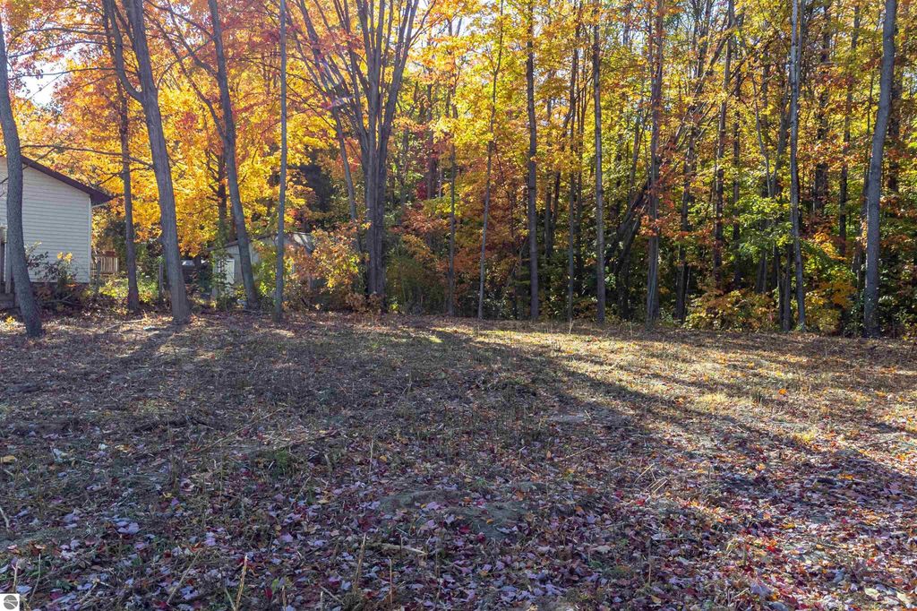 Photo of 223 Alexander Street, Cadillac, MI 49601 (MLS # 1939741)