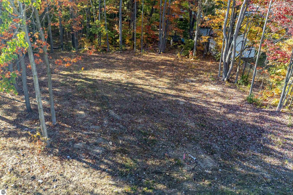 Photo of 223 Alexander Street, Cadillac, MI 49601 (MLS # 1939741)