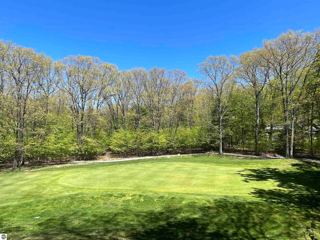 Photo of 6 S Club Drive, Cedar, MI 49621 (MLS # 1940296)