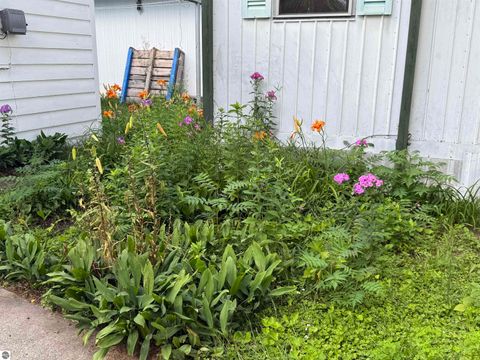 Tiny photo for 4465 Filter Road, Harrison, MI 48625 (MLS # 1928685)