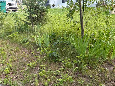 Tiny photo for 4465 Filter Road, Harrison, MI 48625 (MLS # 1928685)