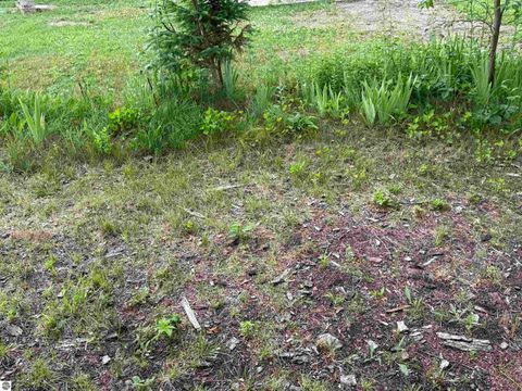 Tiny photo for 4465 Filter Road, Harrison, MI 48625 (MLS # 1928685)