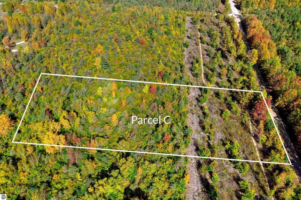 Photo of Parcel C S Weldon Road, Beulah, MI 49617 (MLS # 1939416)