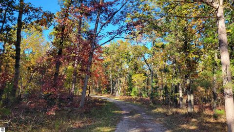 Tiny photo for 2152 Bissonette Road, Oscoda, MI 48750 (MLS # 1939817)