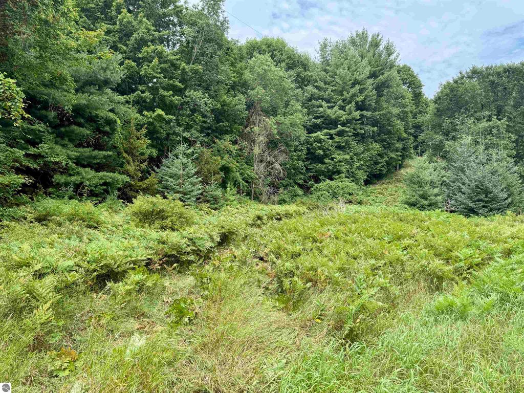 Photo of 0000 W Empire Highway, Empire, MI 49630 (MLS # 1940560)