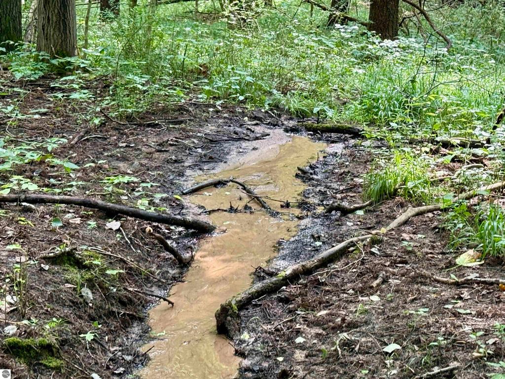 Photo of 0000 W Empire Highway, Empire, MI 49630 (MLS # 1940560)