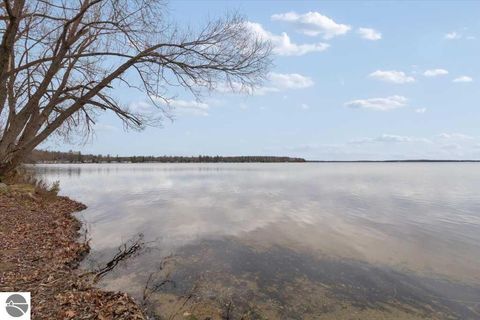 Tiny photo for 6480 Paradise Trail, Carp Lake, MI 49718 (MLS # 1940824)