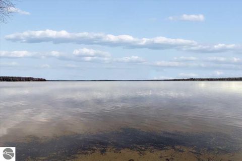 Tiny photo for 6480 Paradise Trail, Carp Lake, MI 49718 (MLS # 1940824)