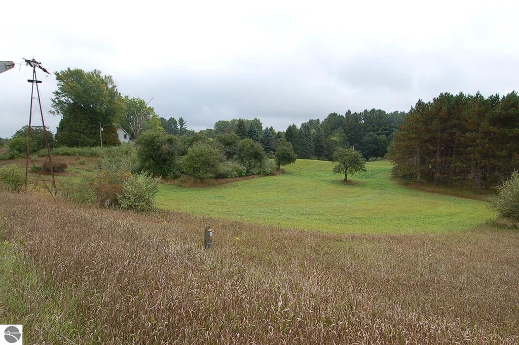 Photo of 10354 80th Avenue, Evart, MI 49631 (MLS # 1938998)