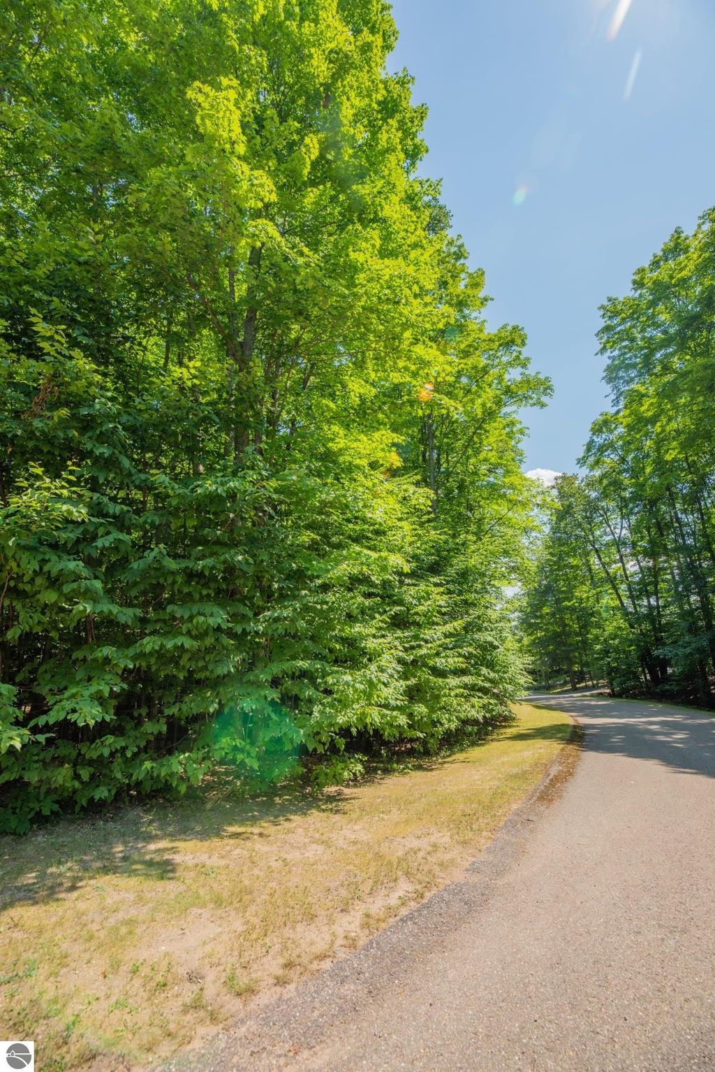 Photo of 165 Forest Highlands #165, Bellaire, MI 49615 (MLS # 1939892)