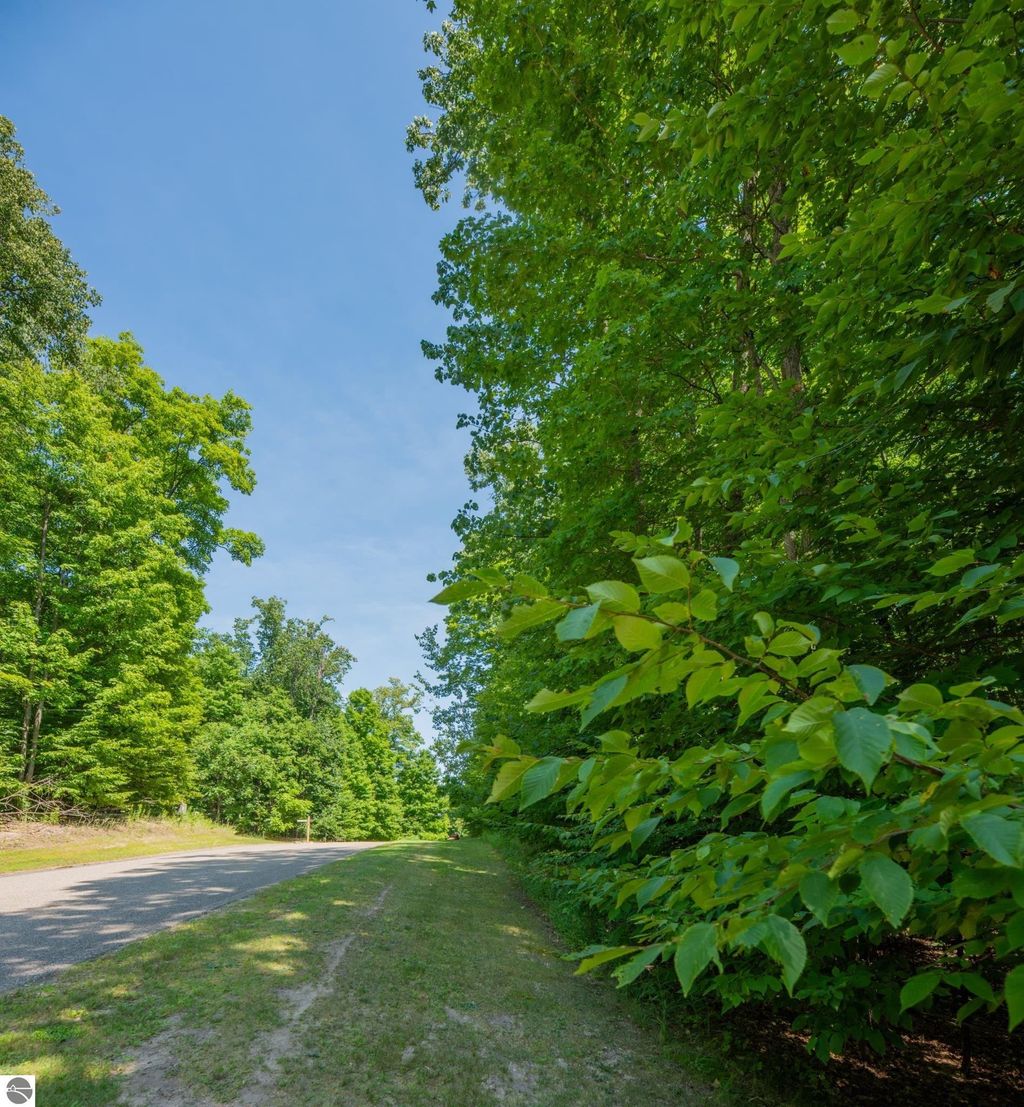 Photo of 165 Forest Highlands #165, Bellaire, MI 49615 (MLS # 1939892)