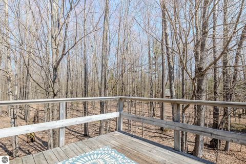 Tiny photo for 13045 SW Coster Road, Fife Lake, MI 49633 (MLS # 1933756)