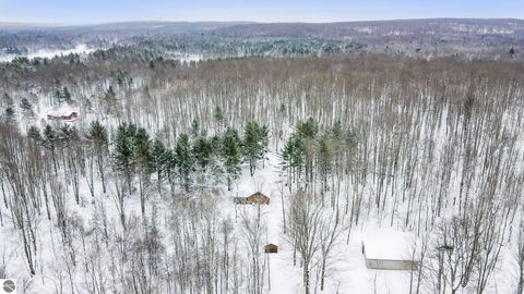 Tiny photo for 12623 NE Starvation Lake Road, Mancelona, MI 49659 (MLS # 1941151)