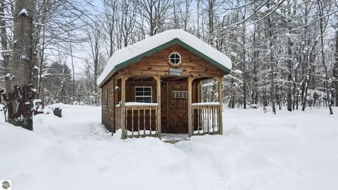 Tiny photo for 12623 NE Starvation Lake Road, Mancelona, MI 49659 (MLS # 1941151)