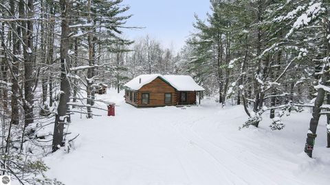 Photo of 12623 NE Starvation Lake Road, Mancelona, MI 49659 (MLS # 1941151)