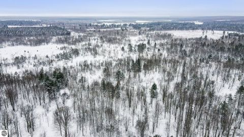 Tiny photo for 12623 NE Starvation Lake Road, Mancelona, MI 49659 (MLS # 1941151)