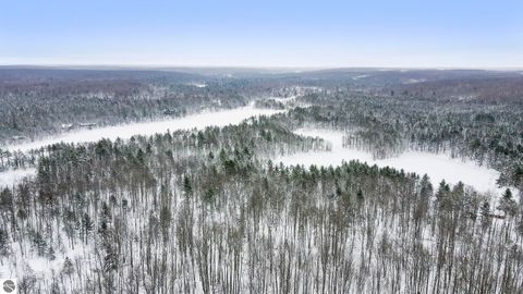 Tiny photo for 12623 NE Starvation Lake Road, Mancelona, MI 49659 (MLS # 1941151)