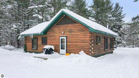 Tiny photo for 12623 NE Starvation Lake Road, Mancelona, MI 49659 (MLS # 1941151)