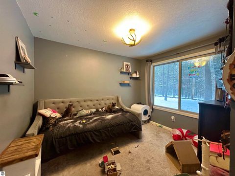 Tiny photo for 7467 E Higgins Lake Drive, Roscommon, MI 48653 (MLS # 1941115)