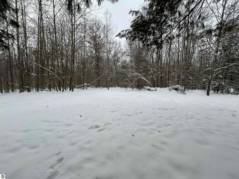 Tiny photo for 7467 E Higgins Lake Drive, Roscommon, MI 48653 (MLS # 1941115)