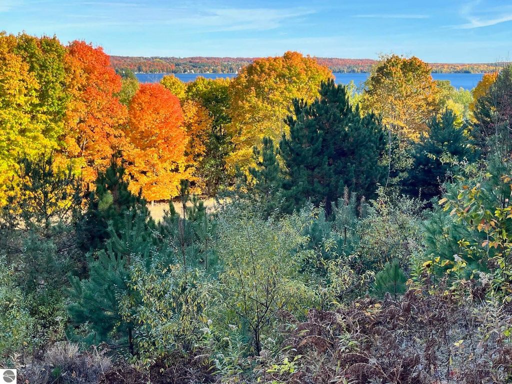 Photo of E Hidden Beech Drive, Cedar, MI 49621 (MLS # 1940396)