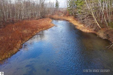 Tiny photo for 1009 Radov Road, Gladwin, MI 48624 (MLS # 1940808)