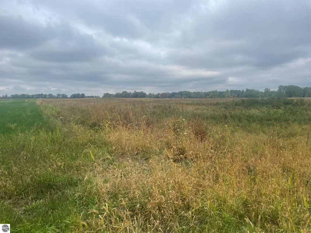 Photo of TBD E Denver Road, Rosebush, MI 48622 (MLS # 1938928)