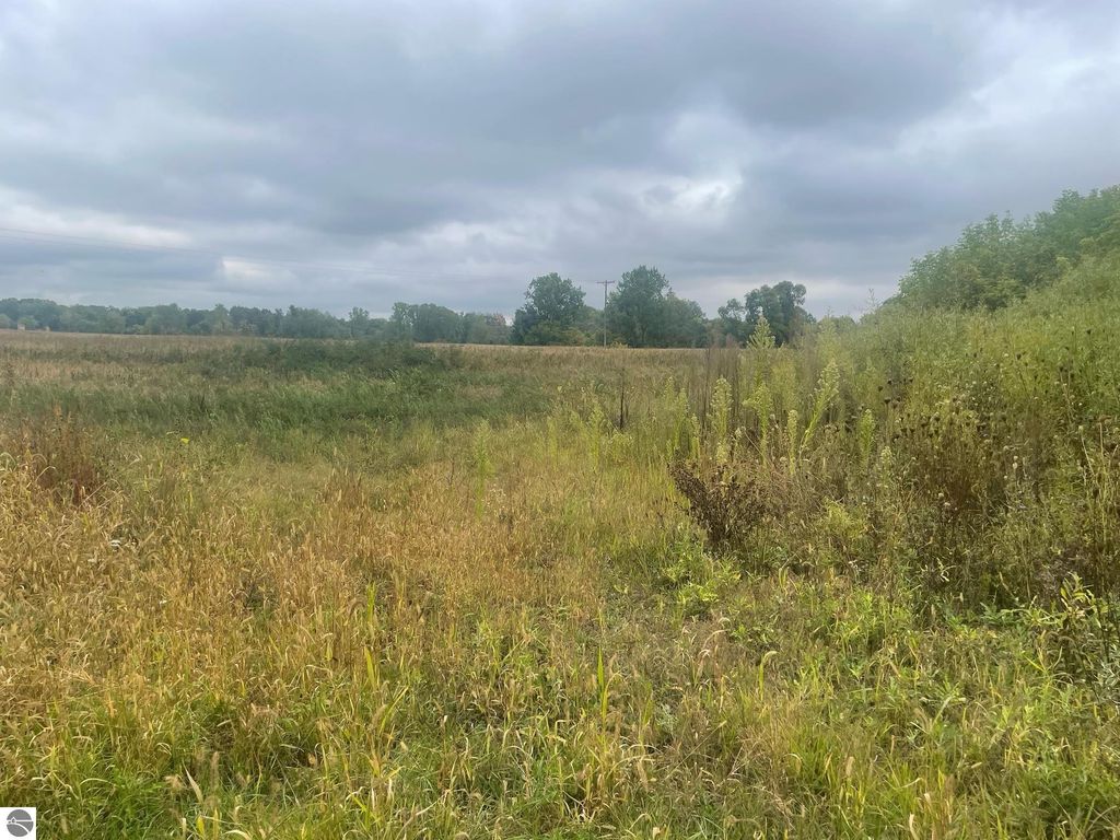 Photo of TBD E Denver Road, Rosebush, MI 48622 (MLS # 1938928)