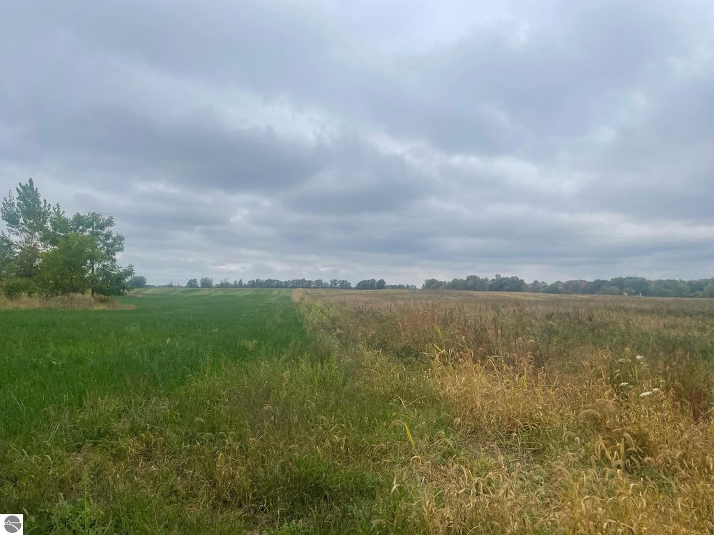 Photo of TBD E Denver Road, Rosebush, MI 48622 (MLS # 1938928)