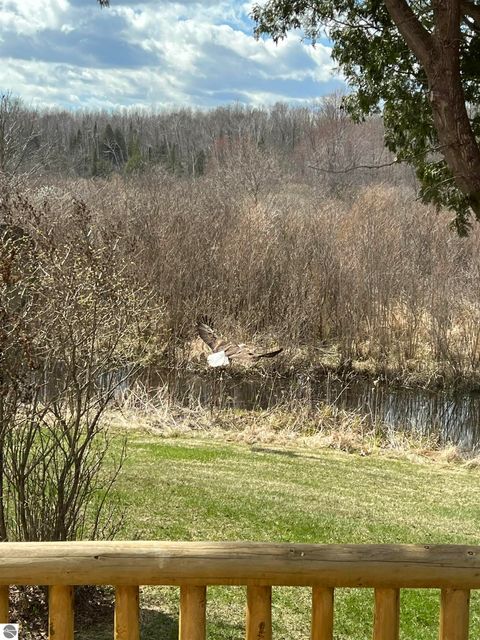 Tiny photo for 15202 Circle Drive, Millersburg, MI 49759 (MLS # 1939822)