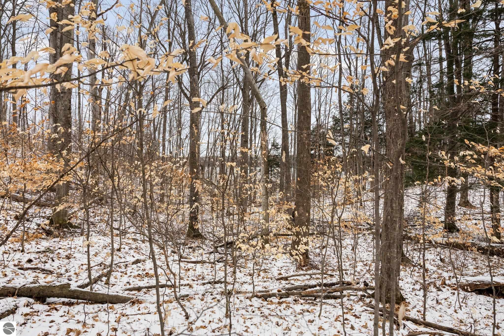 Bellaire, Michigan 49615, United States, ,Land,Pending,57346