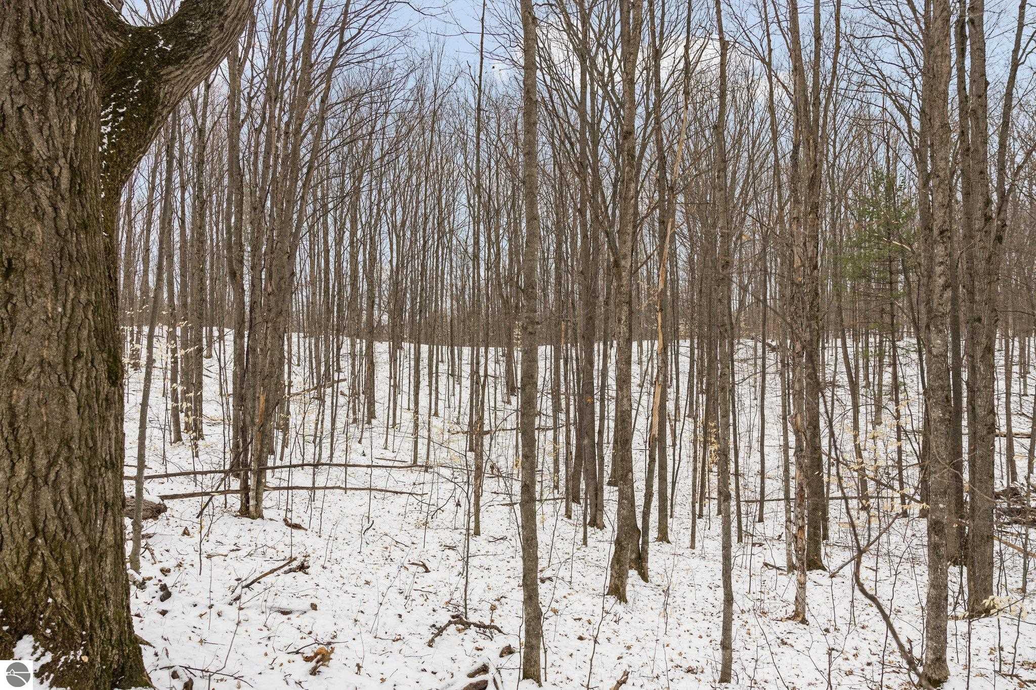 Bellaire, Michigan 49615, United States, ,Land,Pending,57346