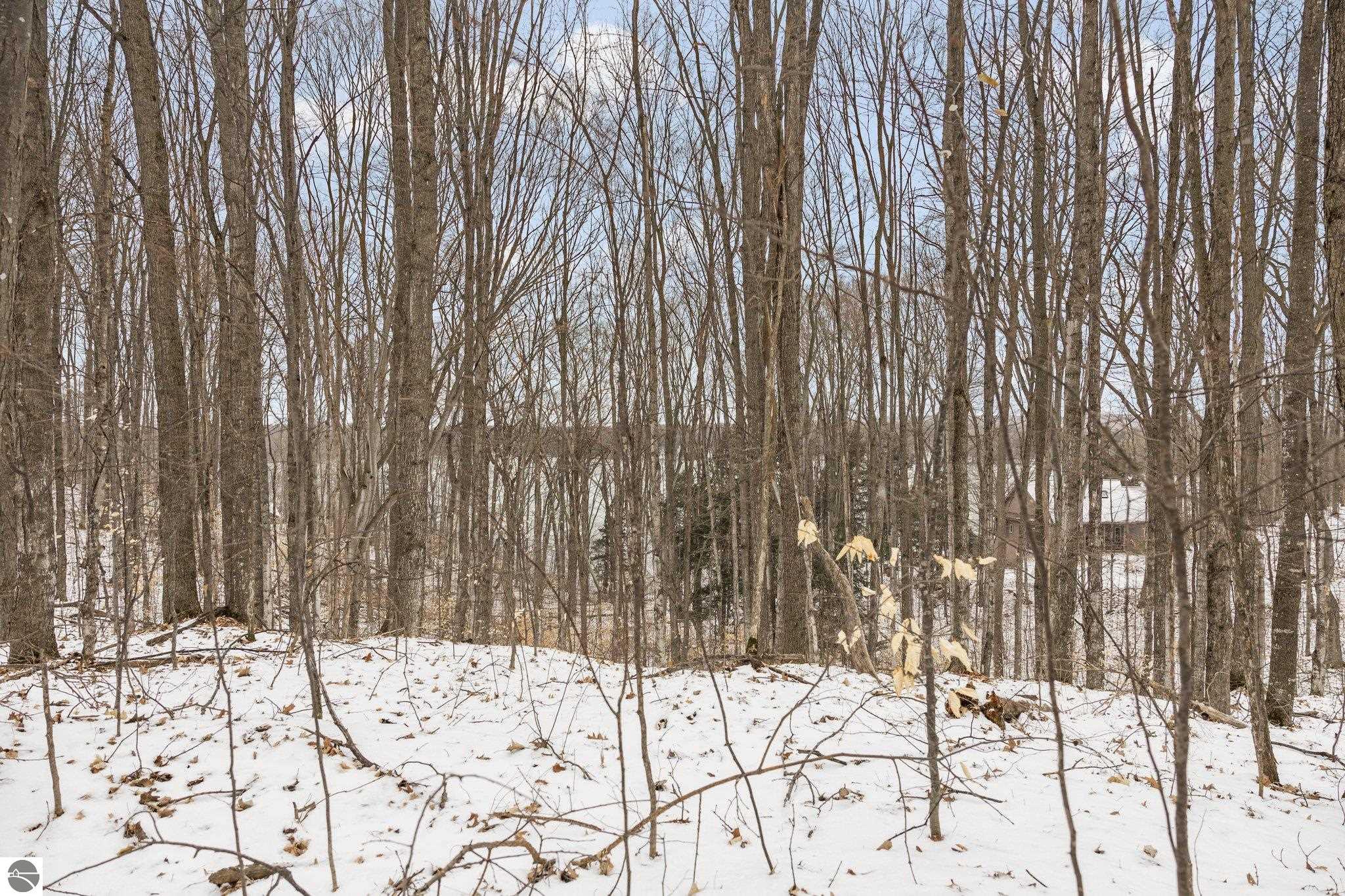 Bellaire, Michigan 49615, United States, ,Land,Pending,57346