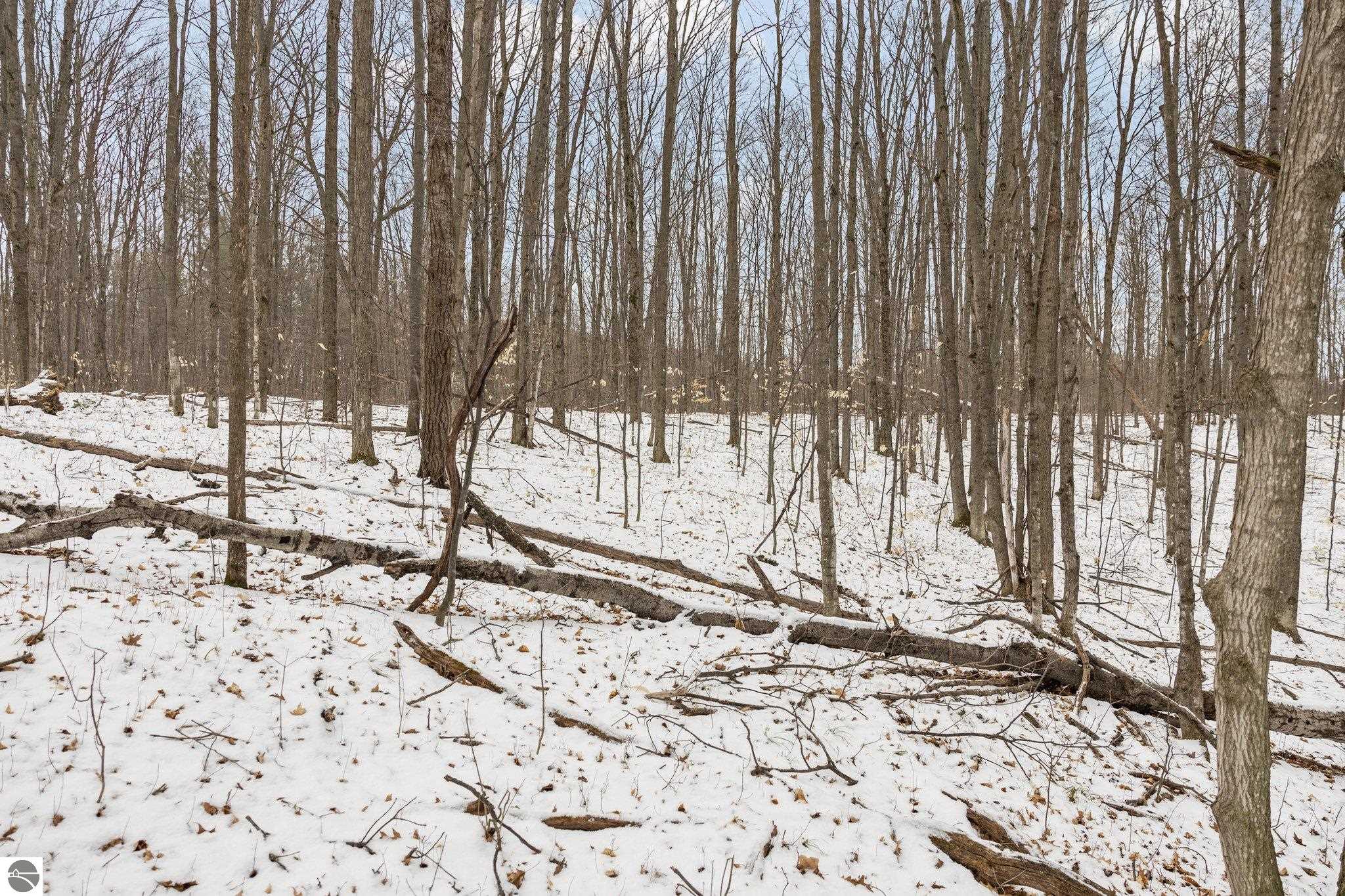 Bellaire, Michigan 49615, United States, ,Land,Pending,57346