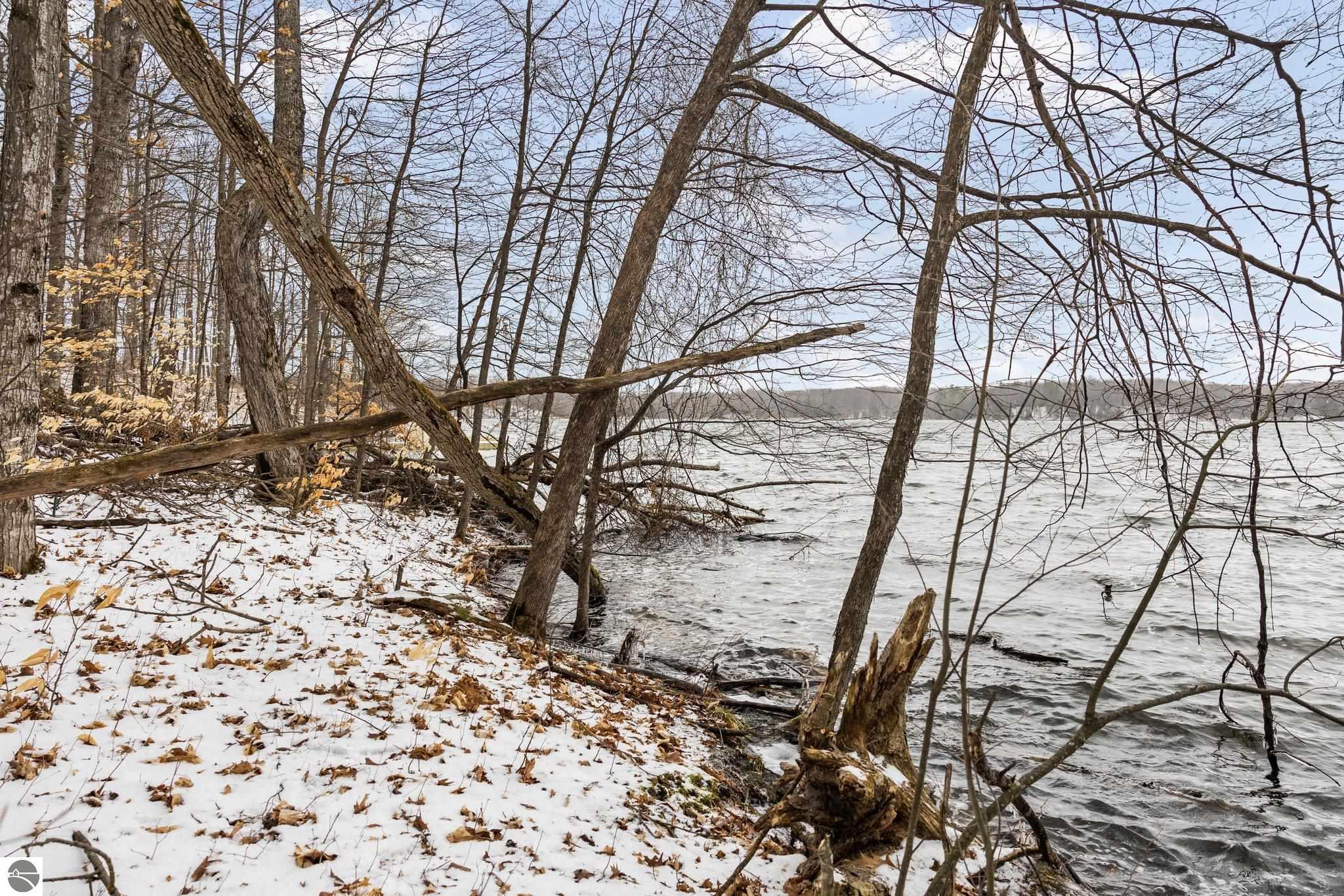 Bellaire, Michigan 49615, United States, ,Land,Pending,57346