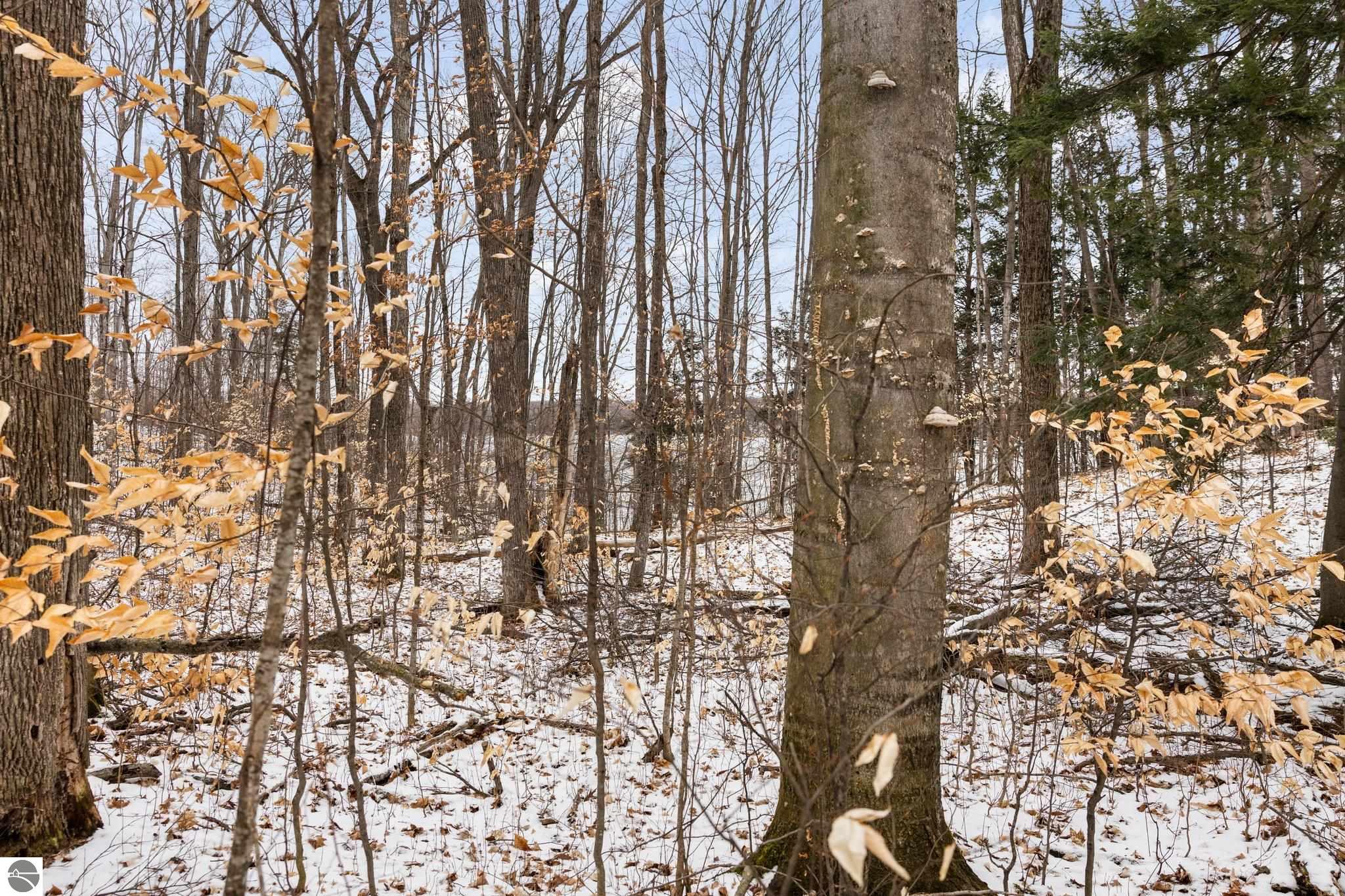 Bellaire, Michigan 49615, United States, ,Land,Pending,57346