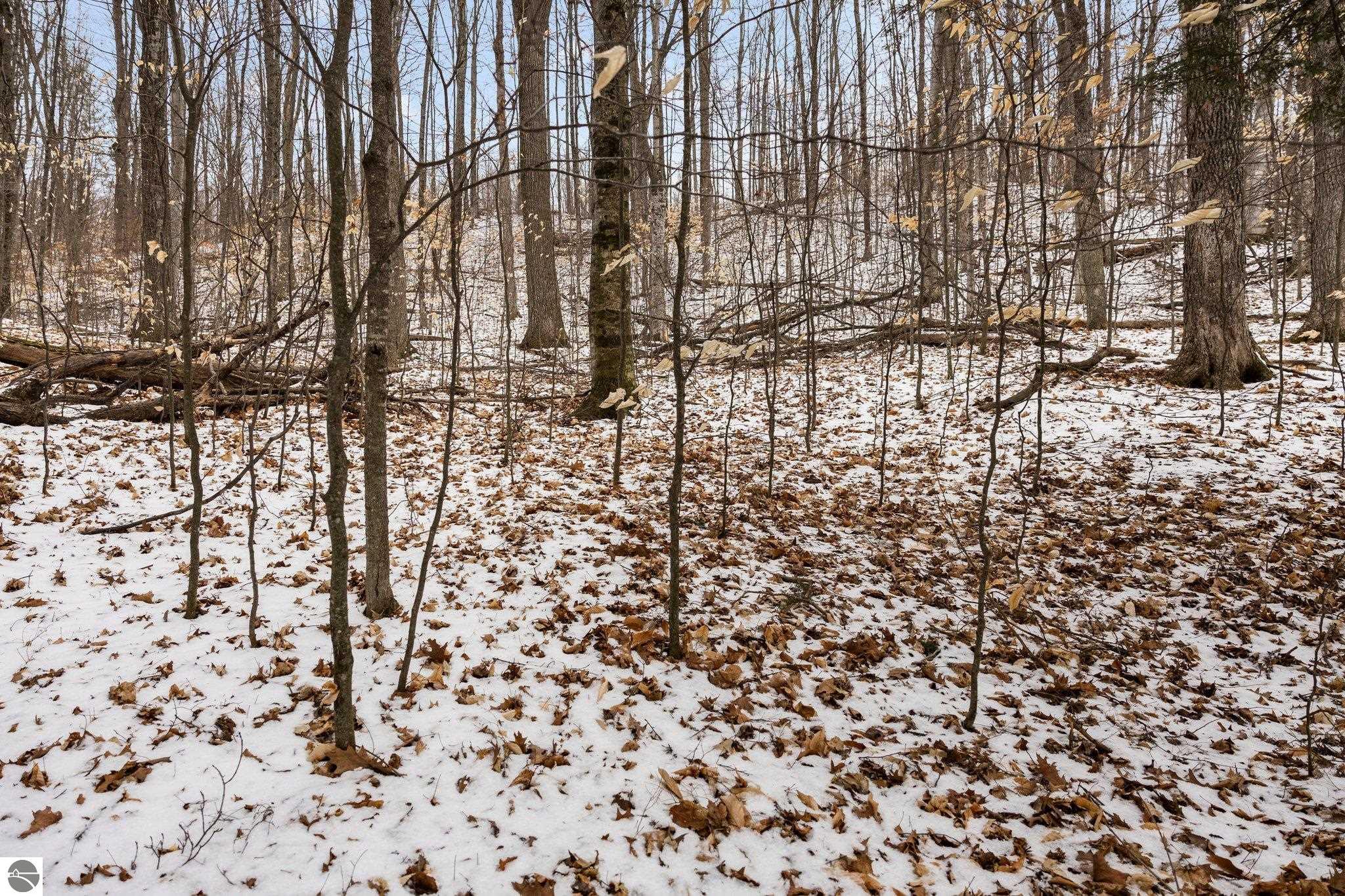 Bellaire, Michigan 49615, United States, ,Land,Pending,57346