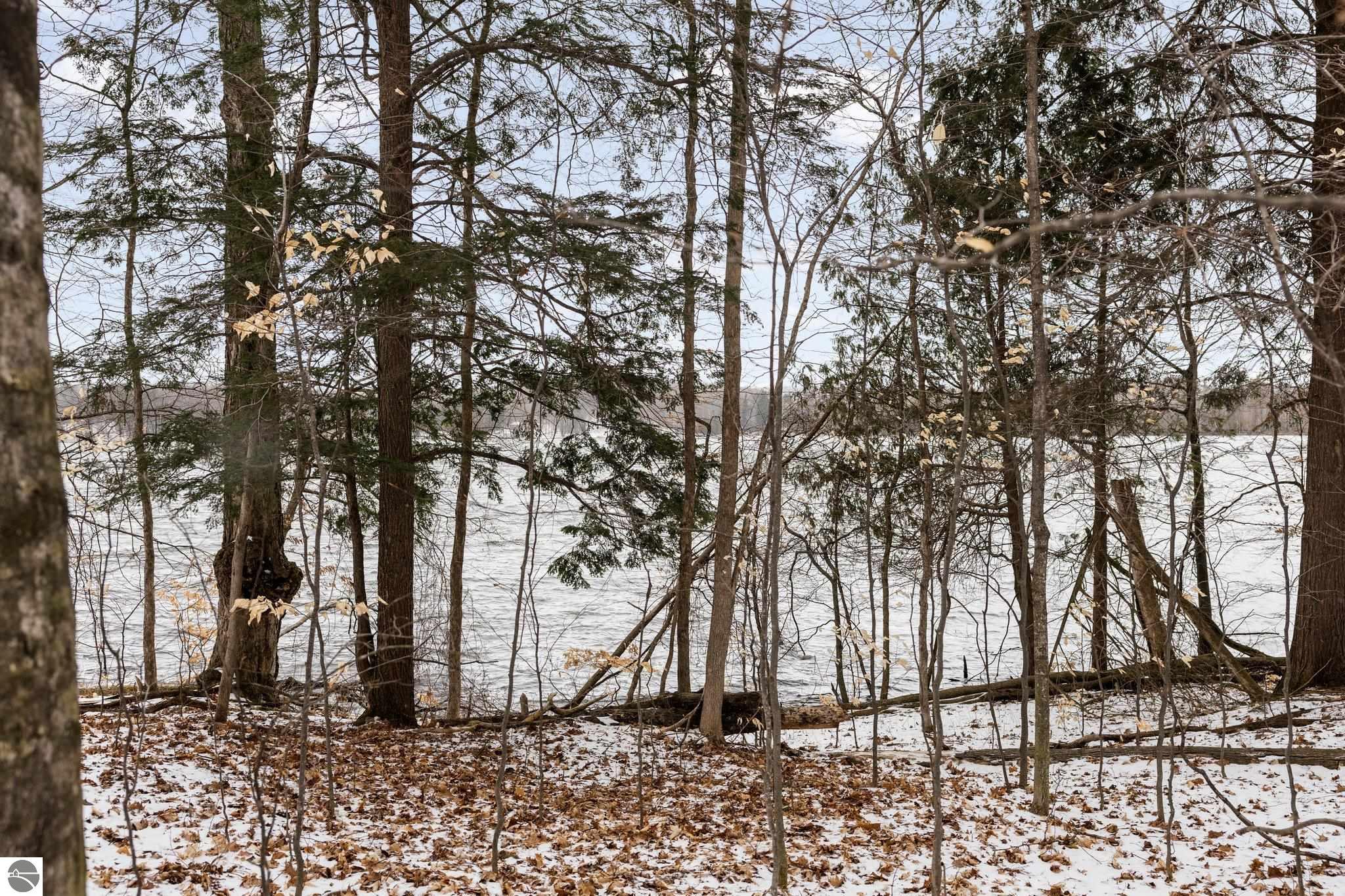 Bellaire, Michigan 49615, United States, ,Land,Pending,57346