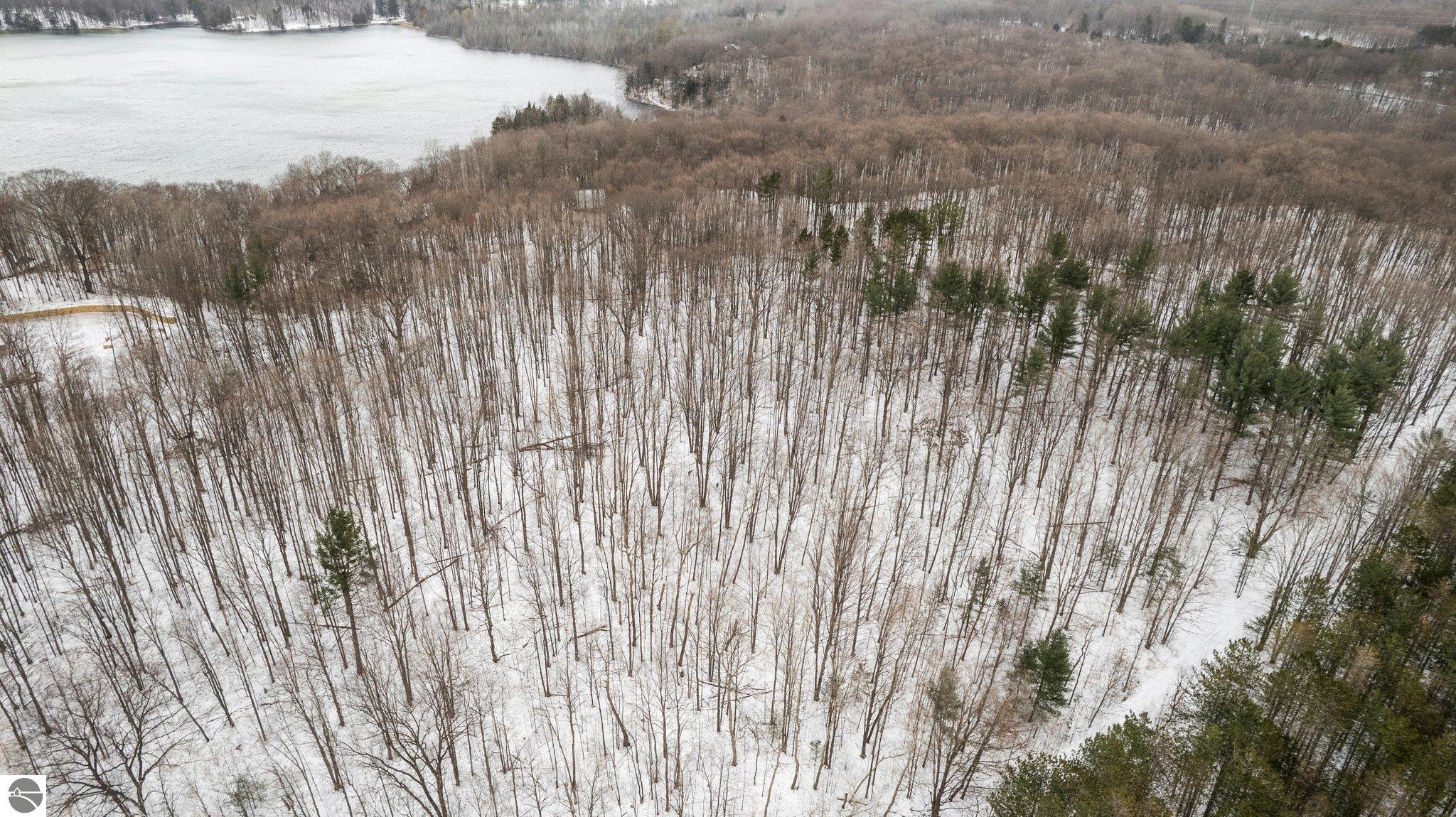 Bellaire, Michigan 49615, United States, ,Land,Pending,57346