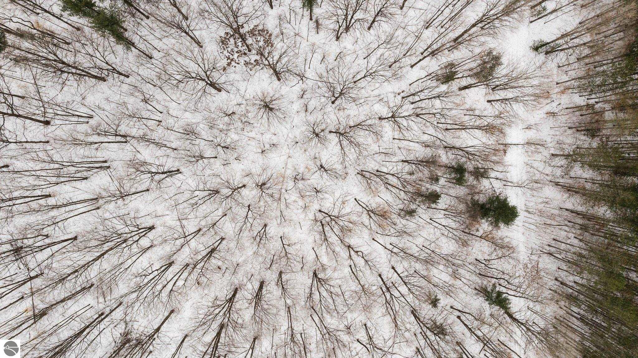 Bellaire, Michigan 49615, United States, ,Land,Pending,57346