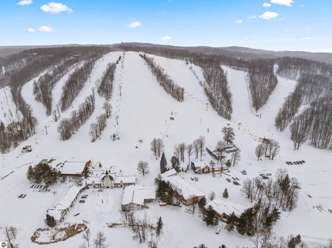 Tiny photo for 2500 Josef Strasse #410/411, Bellaire, MI 49615 (MLS # 1941342)