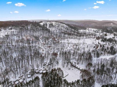 Tiny photo for 2500 Josef Strasse #410/411, Bellaire, MI 49615 (MLS # 1941342)