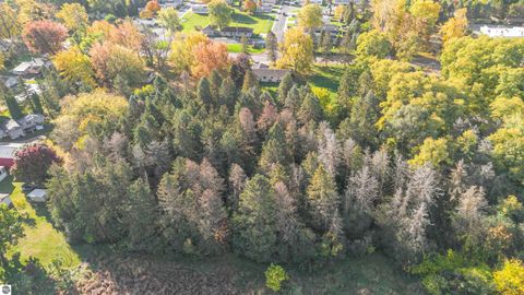 Tiny photo for 5219 E Broadway, Mt Pleasant, MI 48858 (MLS # 1939800)