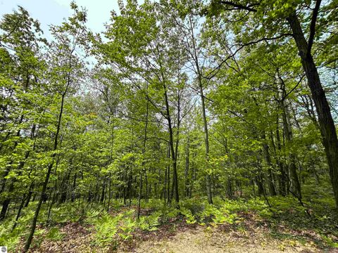 Tiny photo for 3423 Holiday Ridge Road, Traverse City, MI 49696 (MLS # 1940736)