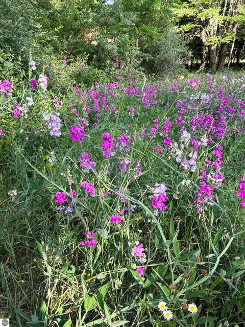 Tiny photo for 5039 Indian Hill Road, Honor, MI 49640 (MLS # 1939516)