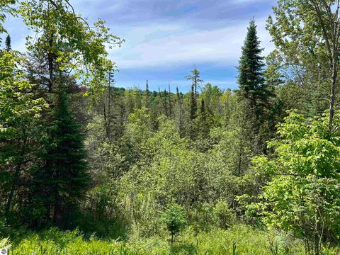 Tiny photo for 5039 Indian Hill Road, Honor, MI 49640 (MLS # 1939516)