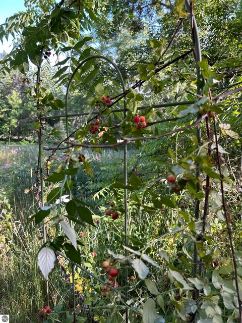 Tiny photo for 5039 Indian Hill Road, Honor, MI 49640 (MLS # 1939516)