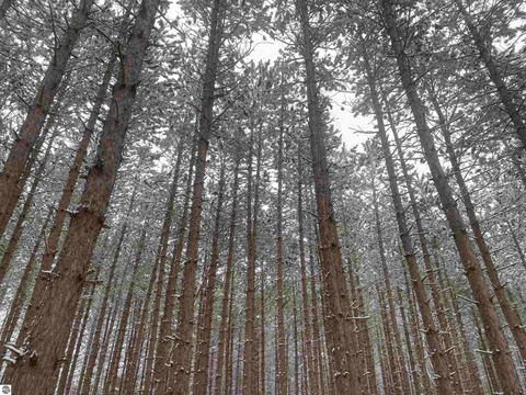 Tiny photo for 5039 Indian Hill Road, Honor, MI 49640 (MLS # 1939516)