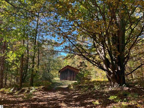 Tiny photo for 5039 Indian Hill Road, Honor, MI 49640 (MLS # 1939516)